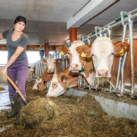 Ferienwohnung Angerlgut Sankt Koloman Zewnętrze zdjęcie