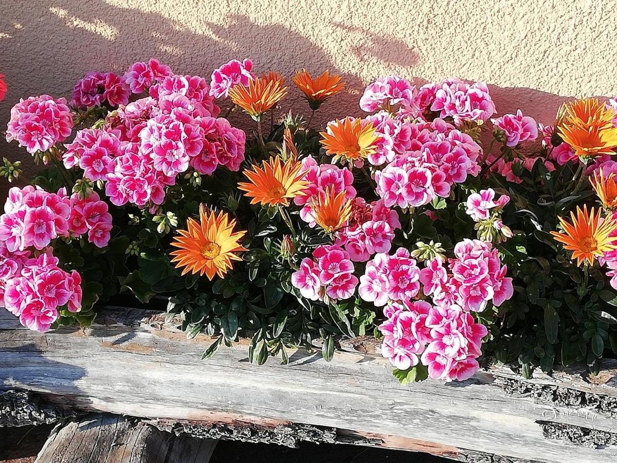 Ferienwohnung Angerlgut Sankt Koloman Zewnętrze zdjęcie