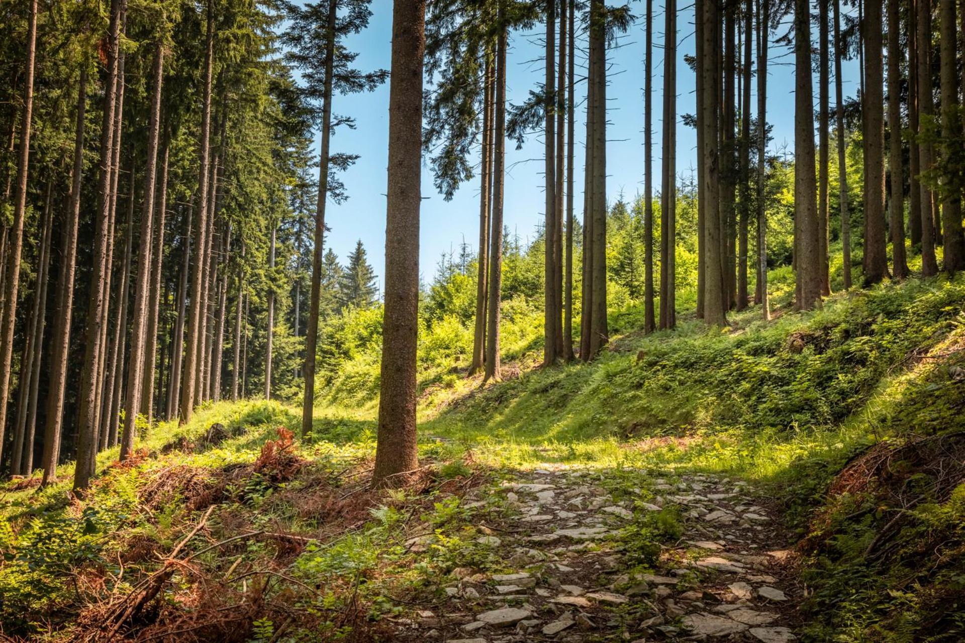 Ferienwohnung Angerlgut Sankt Koloman Zewnętrze zdjęcie